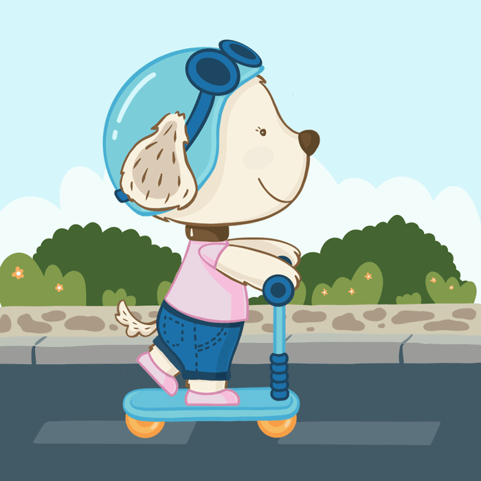 skate